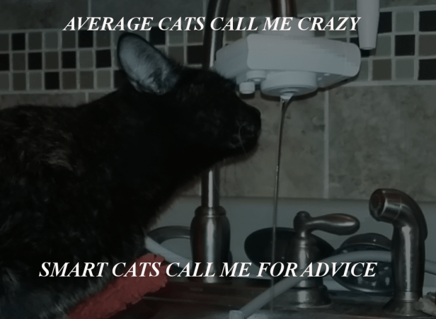 catcrazy